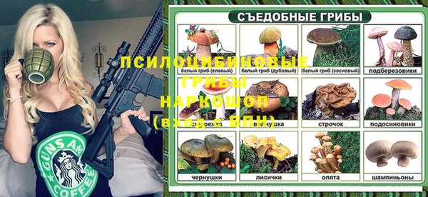 синтетический гашиш Богородицк