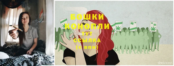 прущие грибы Богданович