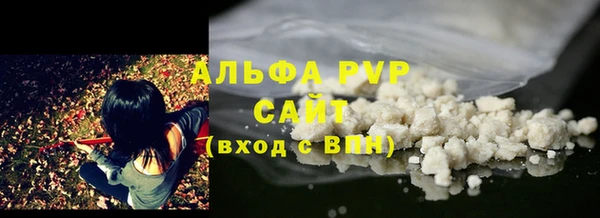 прущие грибы Богданович