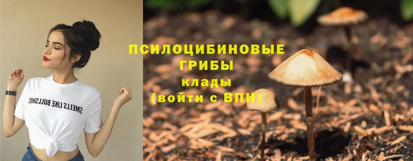 синтетический гашиш Богородицк