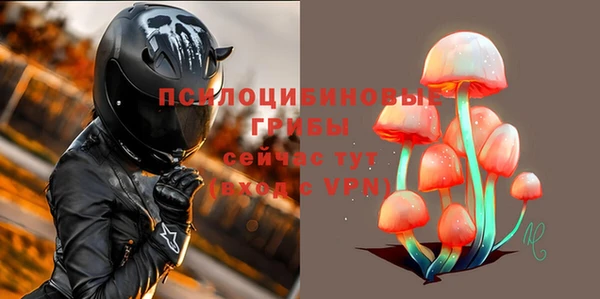 синтетический гашиш Богородицк