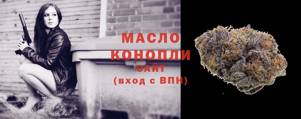 дживик Богородск