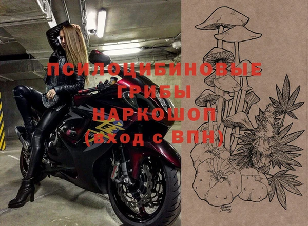 прущие грибы Богданович