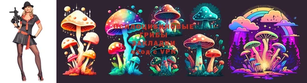 синтетический гашиш Богородицк
