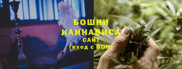 дживик Богородск