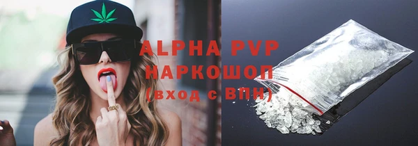 прущие грибы Богданович