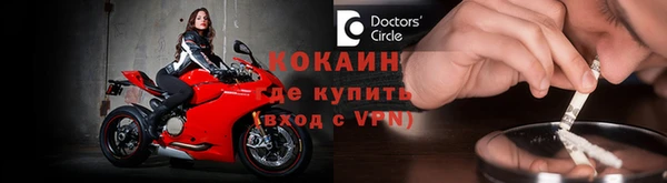 прущие грибы Богданович