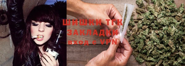 прущие грибы Богданович