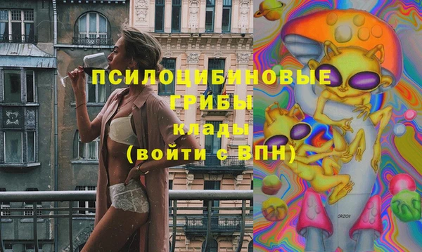синтетический гашиш Богородицк