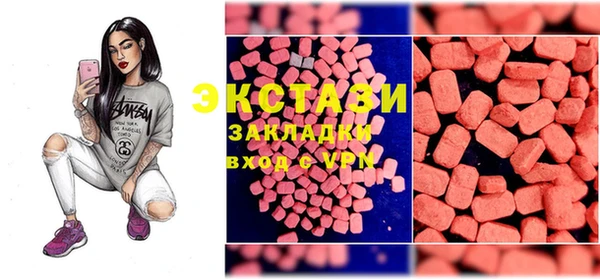 прущие грибы Богданович