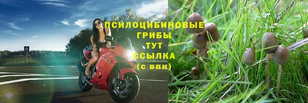 дживик Богородск