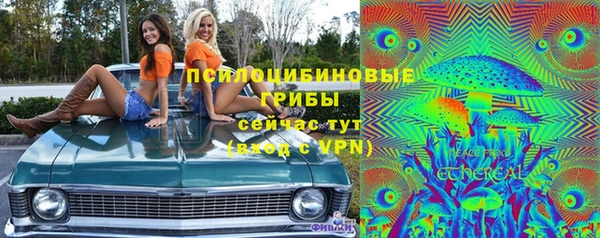 прущие грибы Богданович