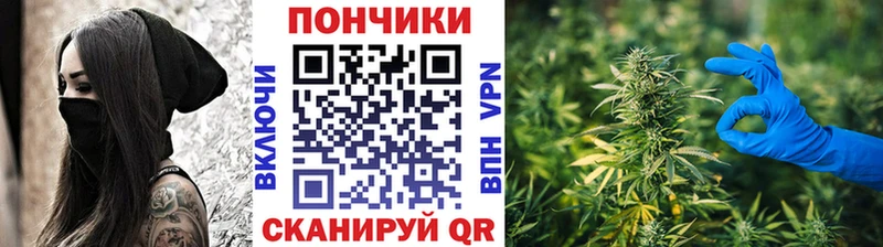закладки  Дигора  Бошки Шишки ГИДРОПОН 